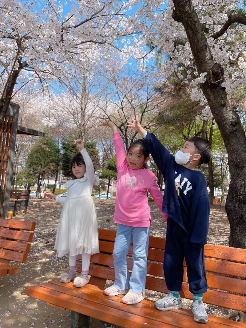 사진 10