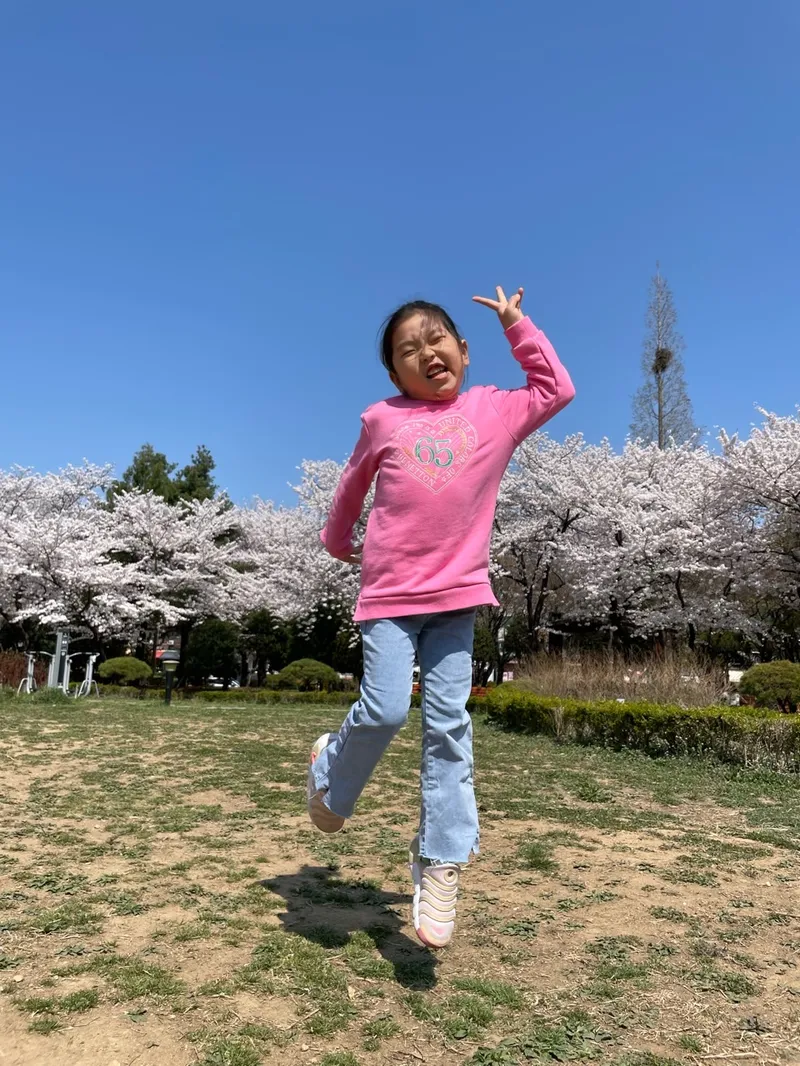 사진 5