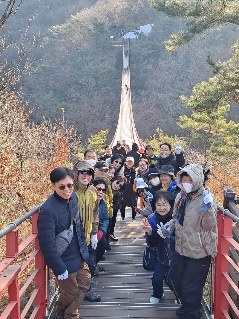 사진 5
