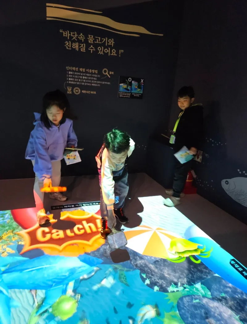 사진 5