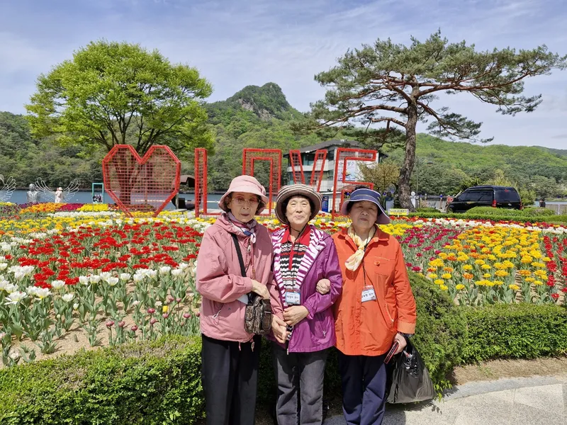 사진 5