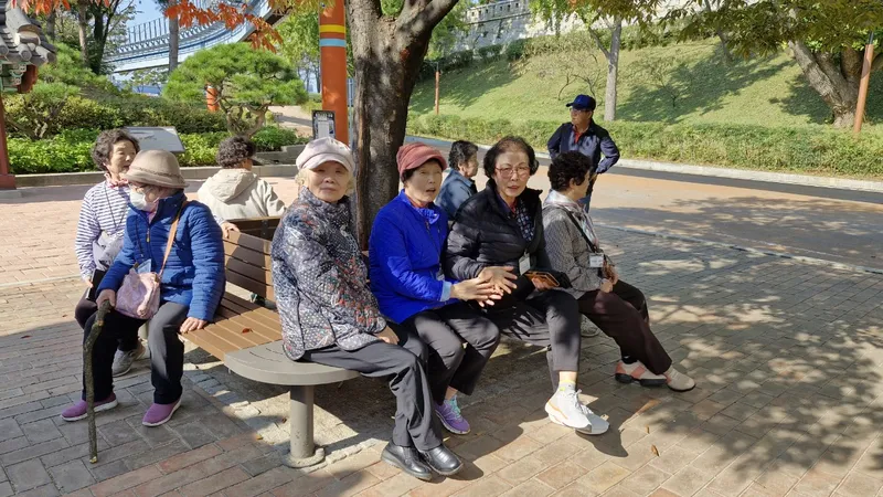 사진 4
