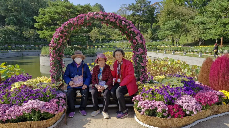 사진 6