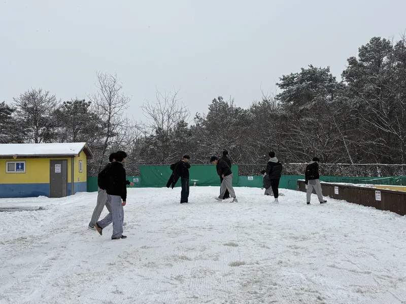 사진 2