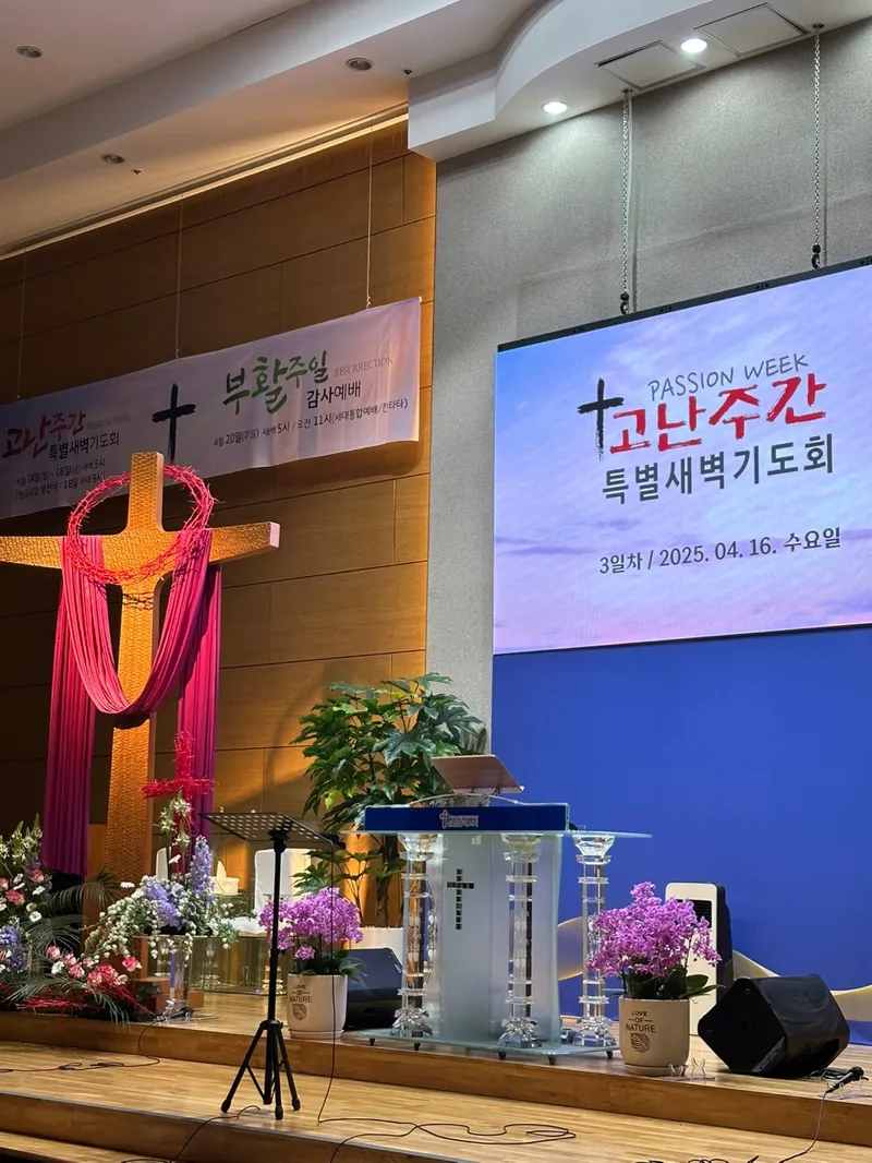 사진 3