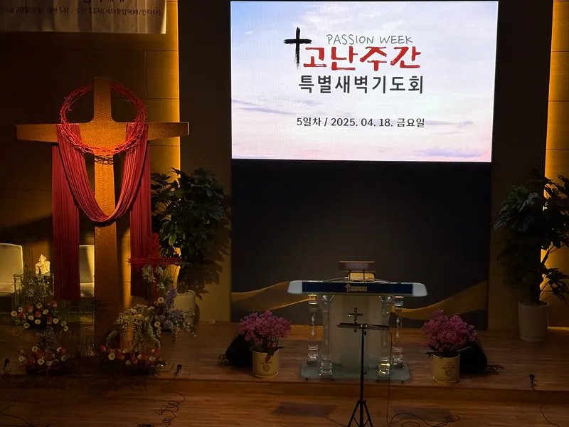 사진 5