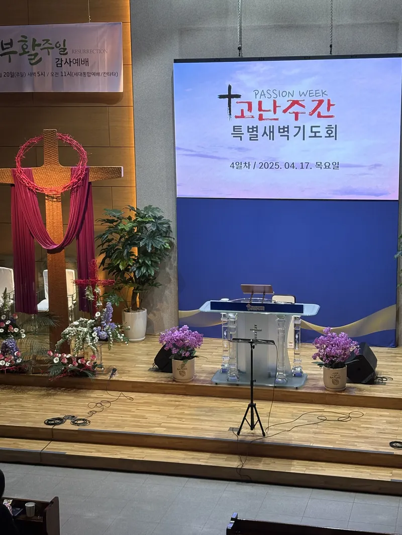 사진 4