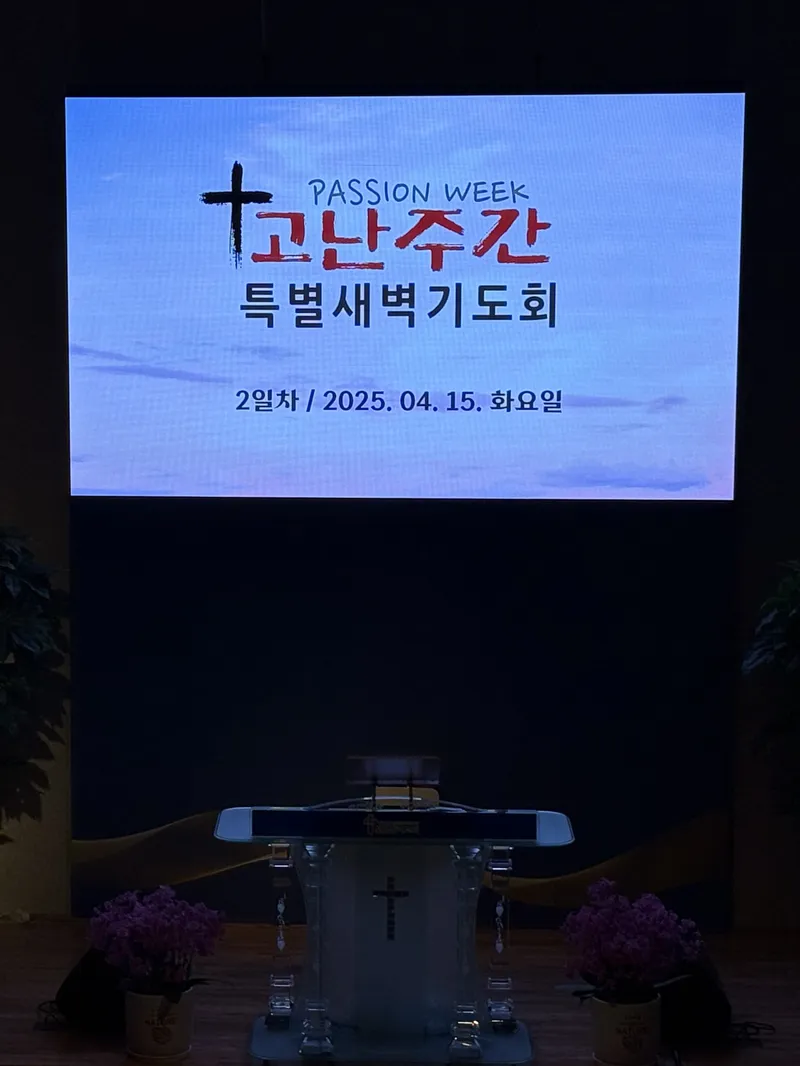 사진 2