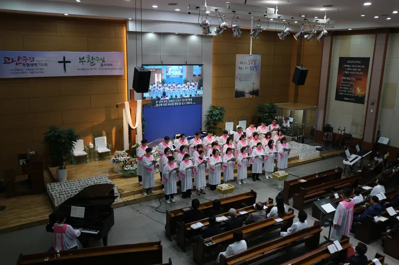 사진 5