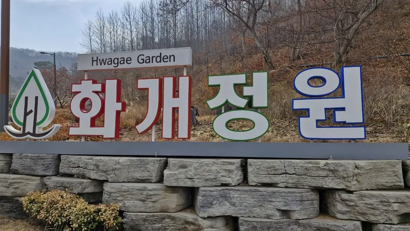 사진 10