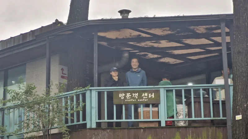 사진 9