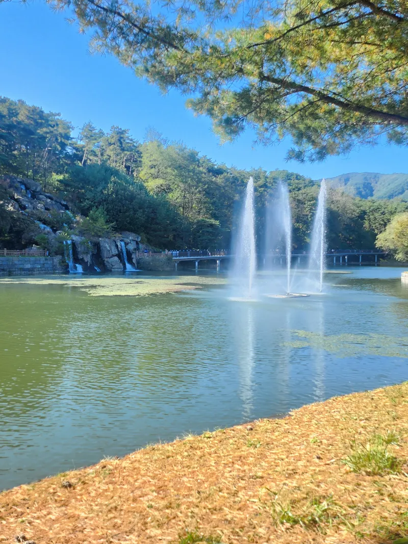 사진 7
