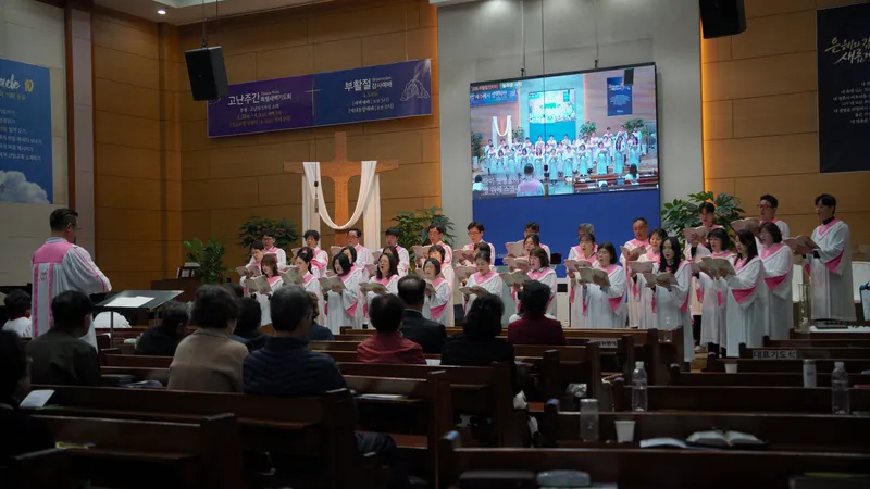 사진 10