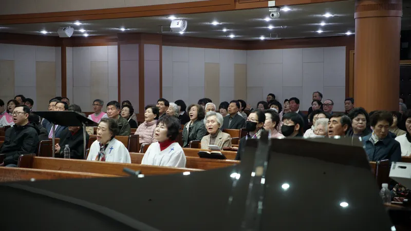 사진 5